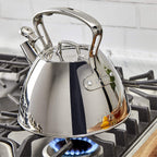 Bouilloire Sifflante Inox